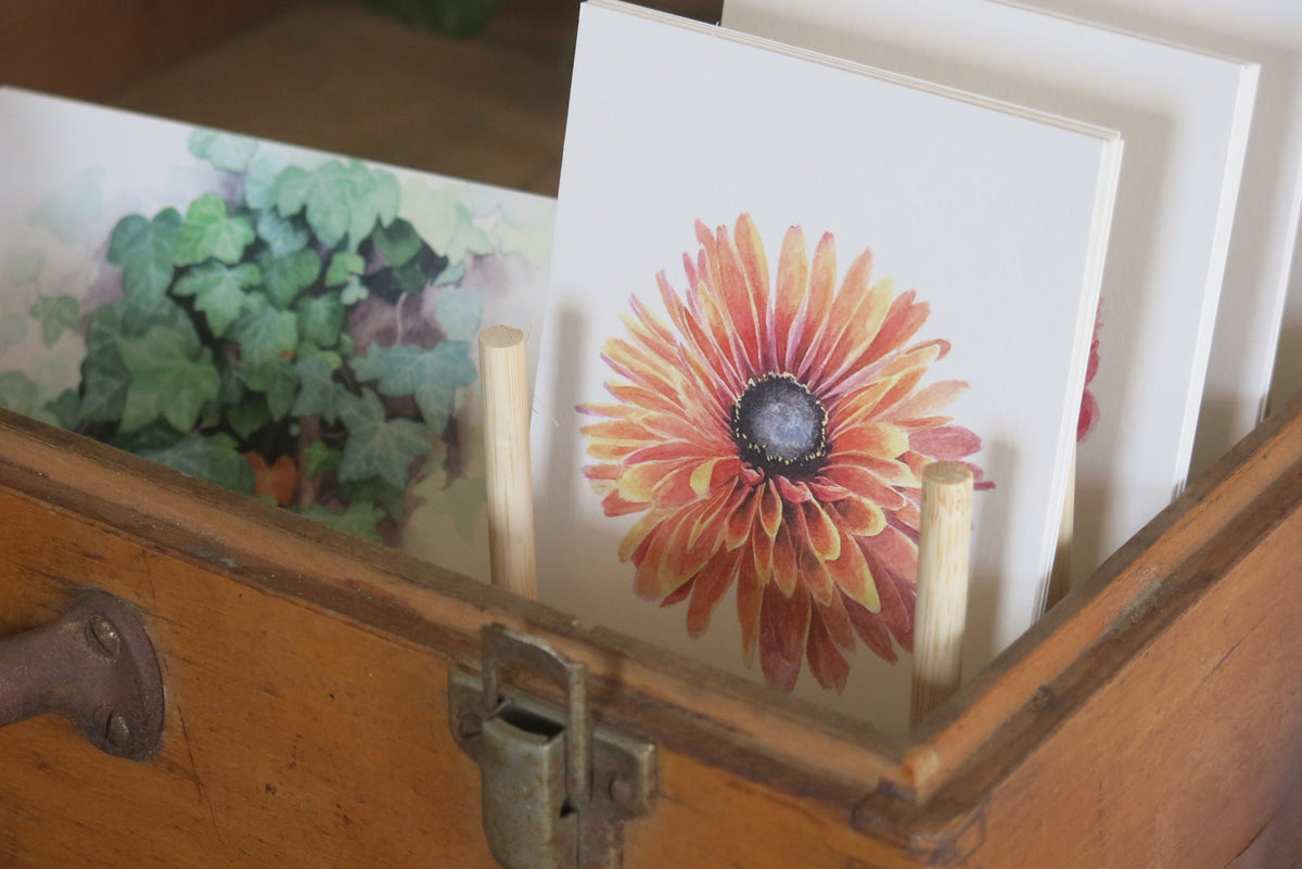 Cartes illustrées